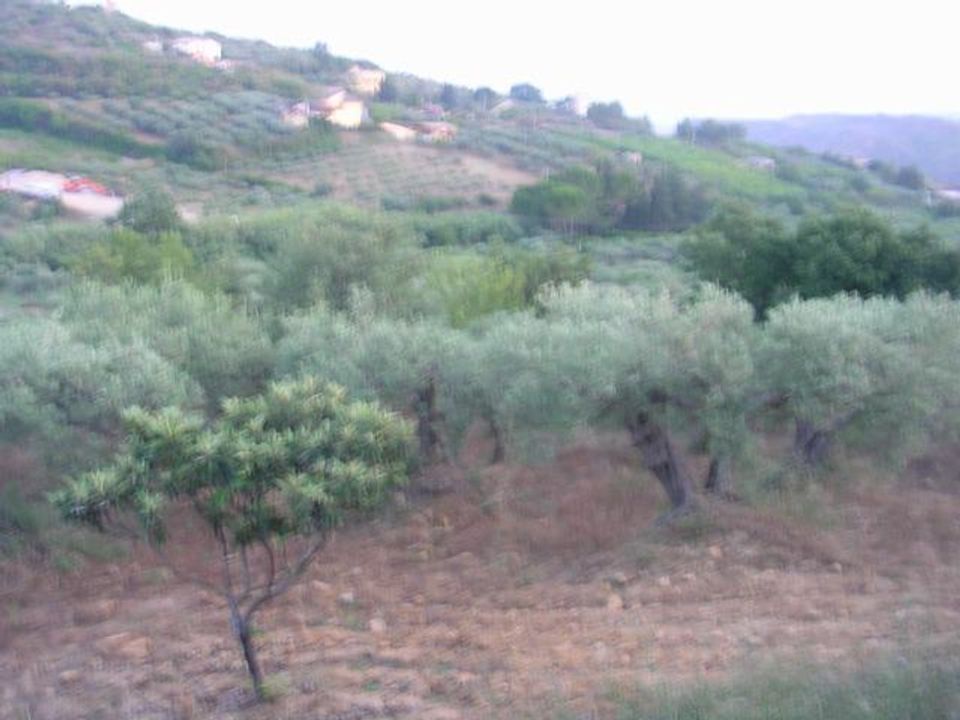 Helårsgrund i Cianciana, Agrigento - foto 2
